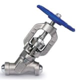 Typical Globe Process Valve